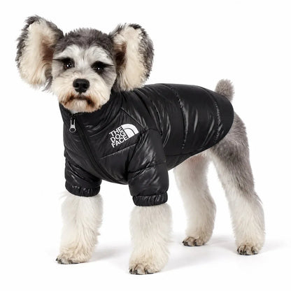 Black Padded Pet Coat worn by a pet on a white background, view 2