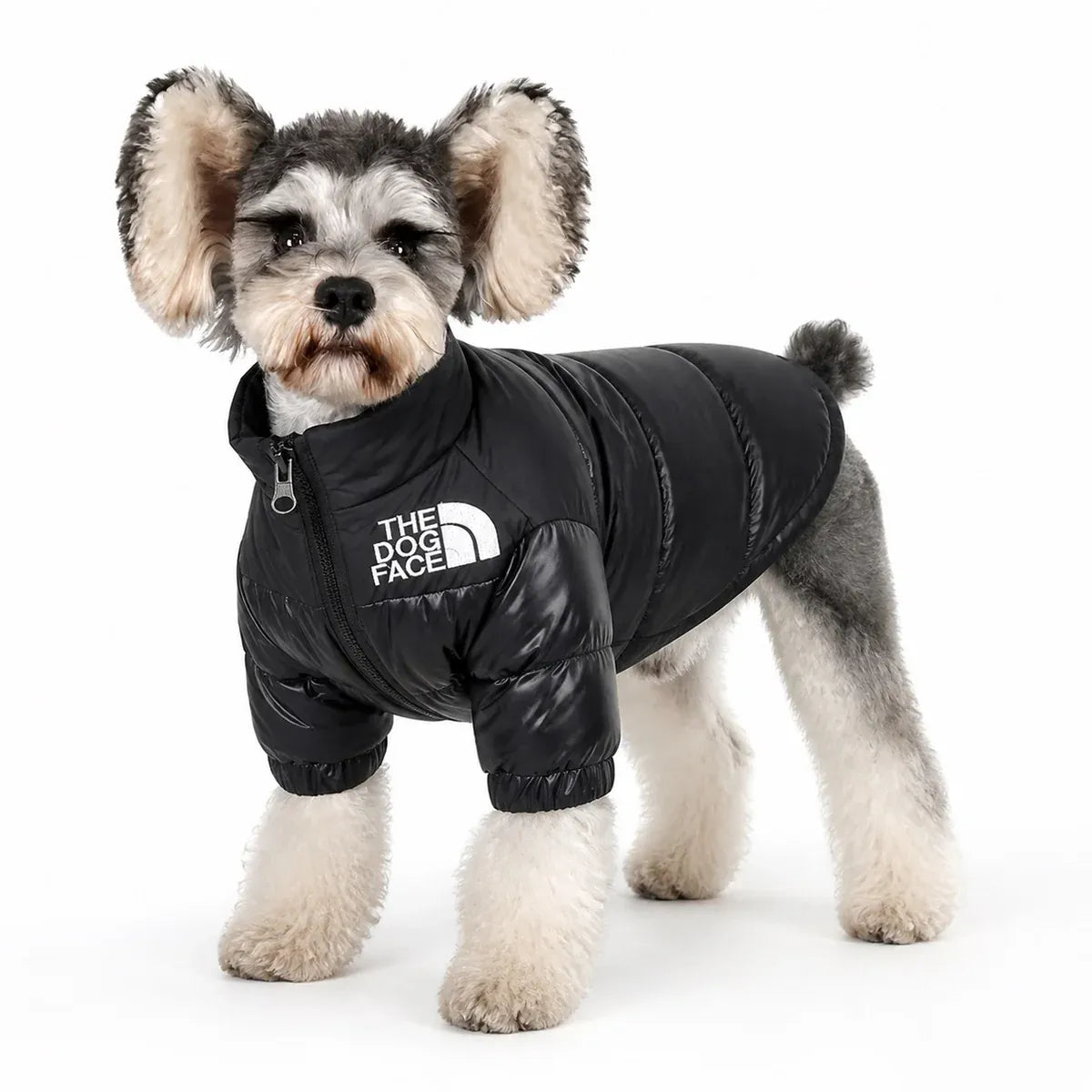 Black Padded Pet Coat worn by a pet on a white background, view 3