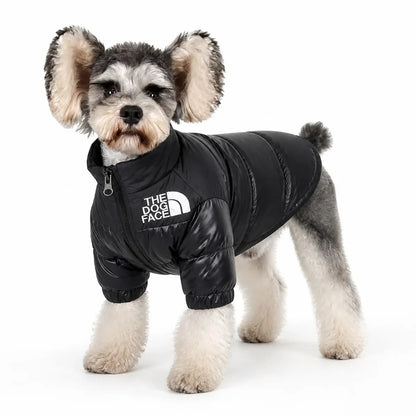 Black Padded Pet Coat worn by a pet on a white background, view 3
