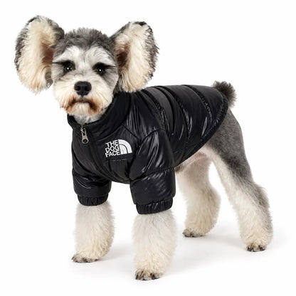 Black Padded Pet Coat worn by a pet on a white background, view 5