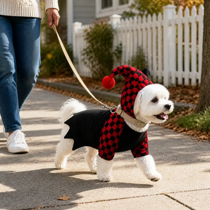 Owner walking a small white dog in a jester costume