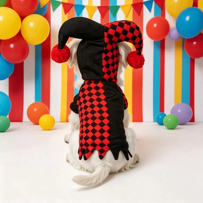 Rear view of a small white dog wearing a black and red jester costume at a colorful party