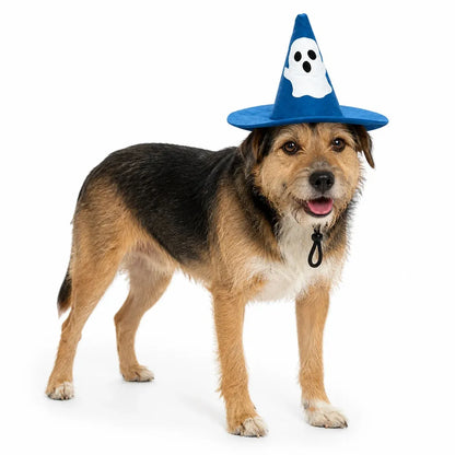 Blue cone ghost hat for a Halloween dog costume on white