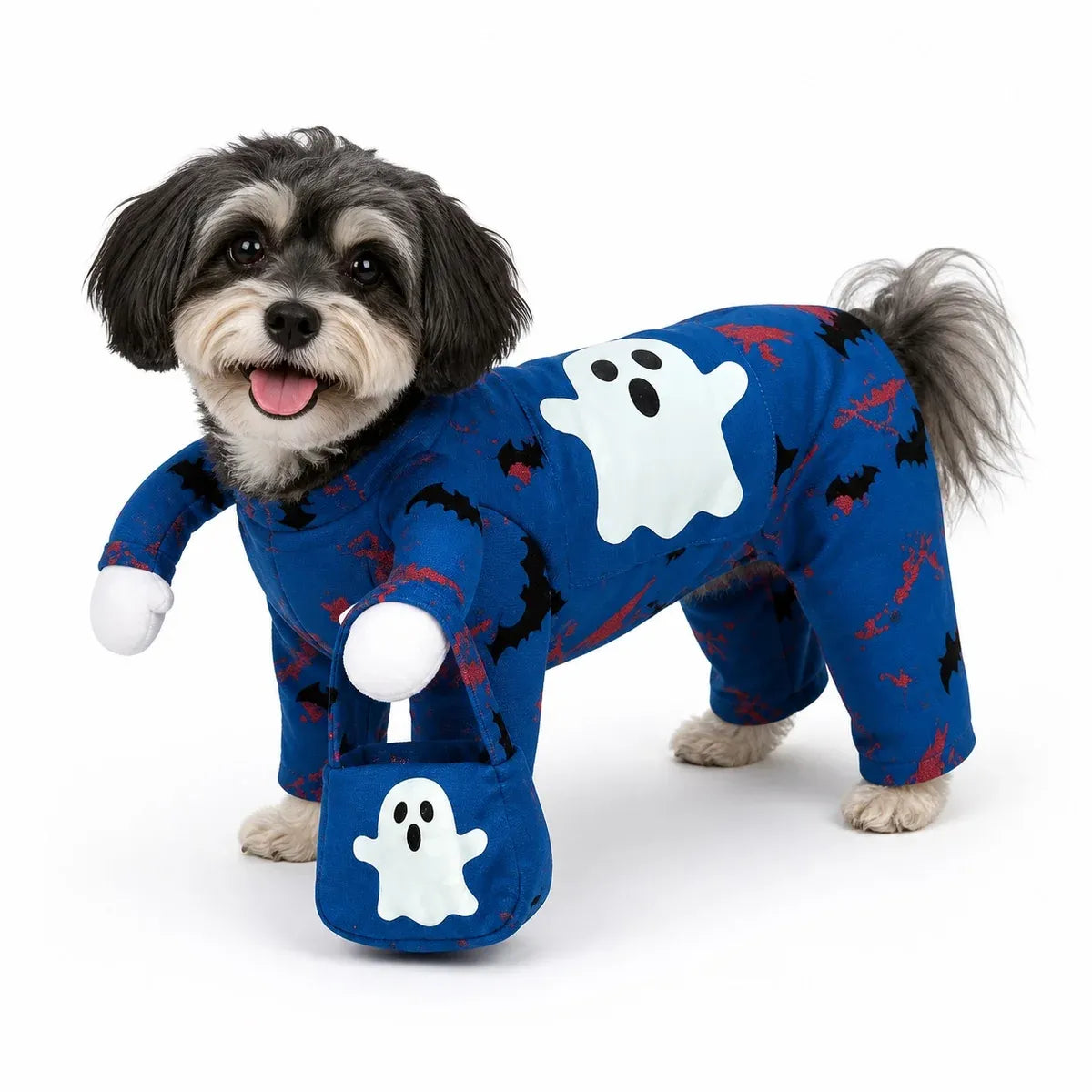 Small dog wearing a blue ghost outfit with matching bag on white