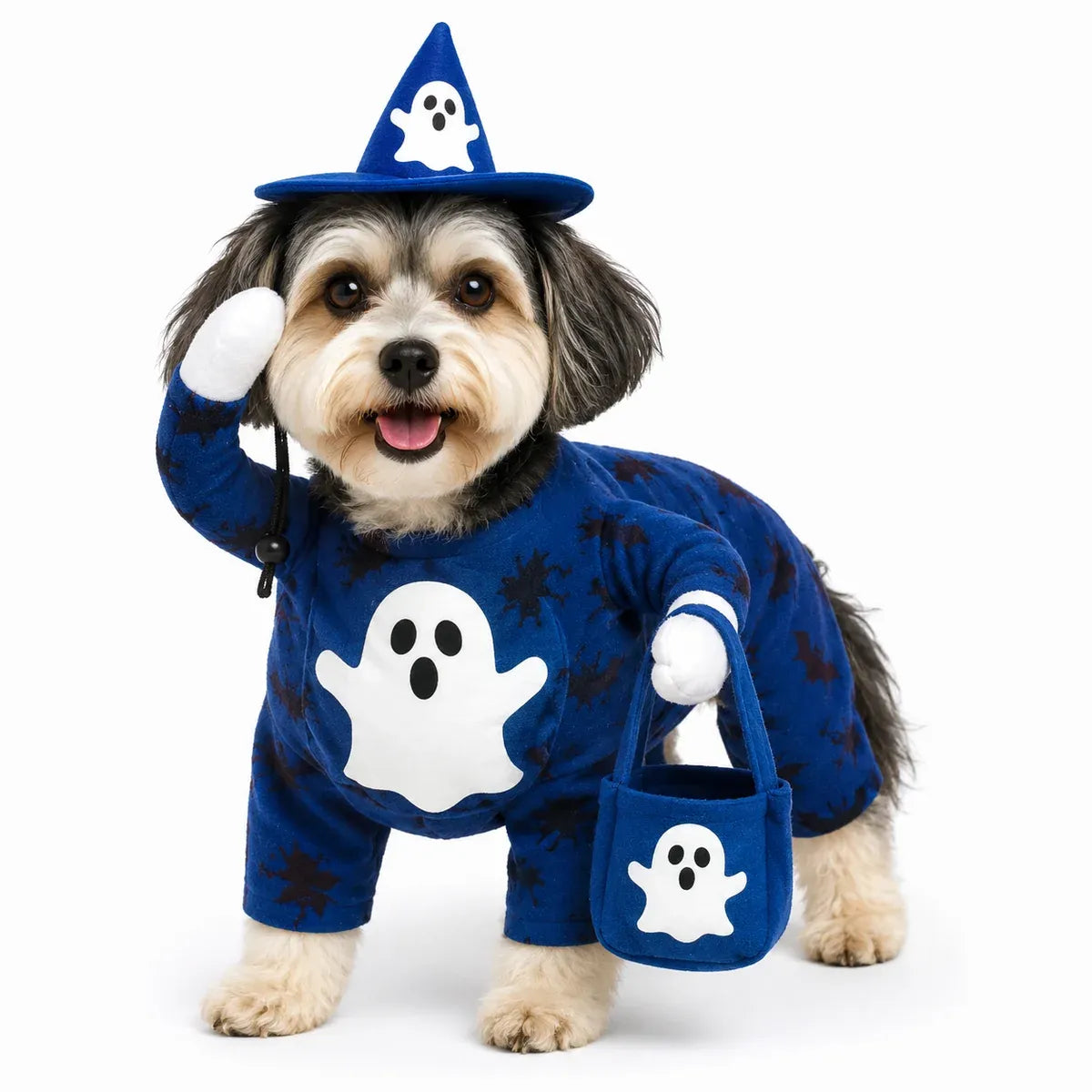 Blue ghost dog costume set for Halloween on a dog