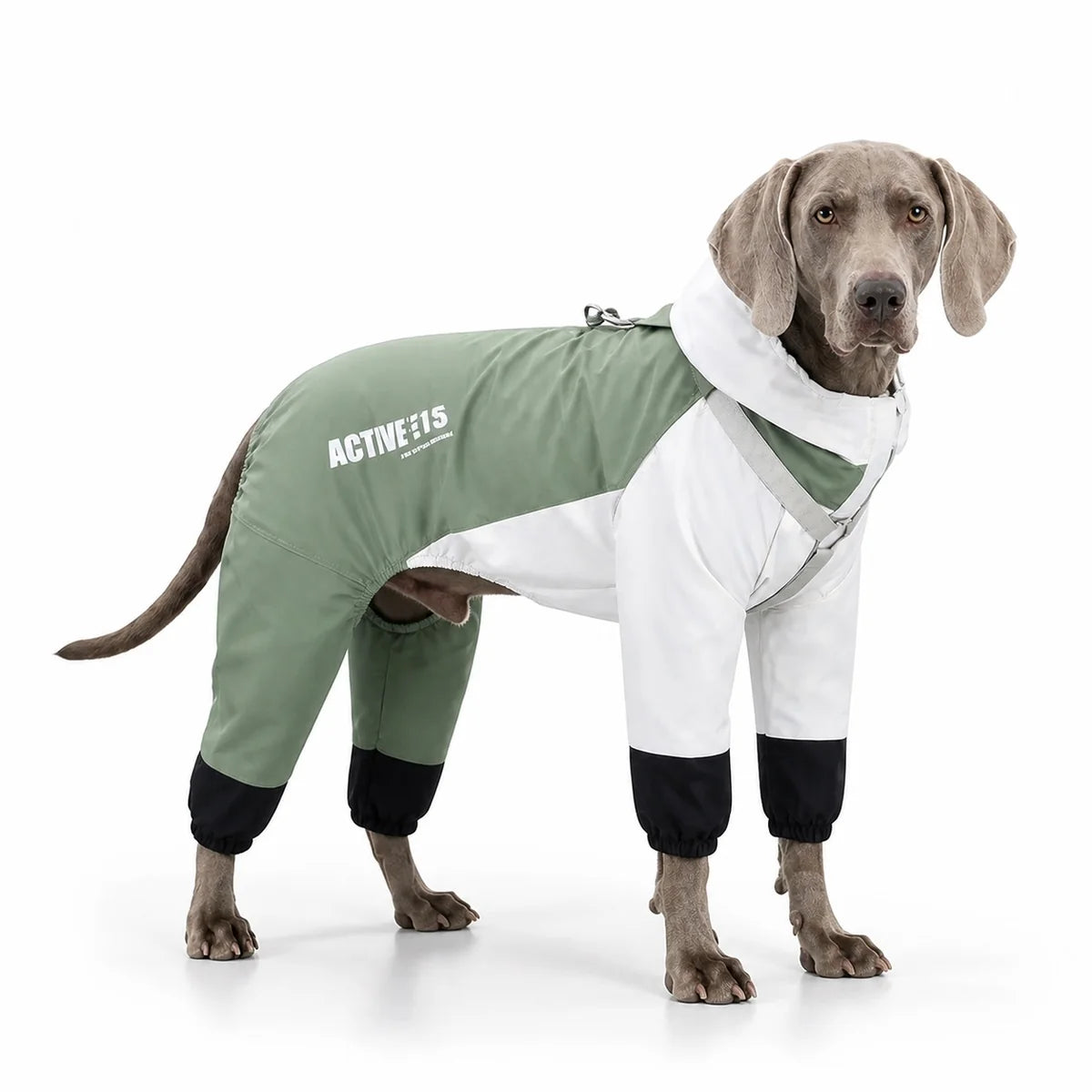 White colorblock dog raincoat worn by a pet on a white background, image 1