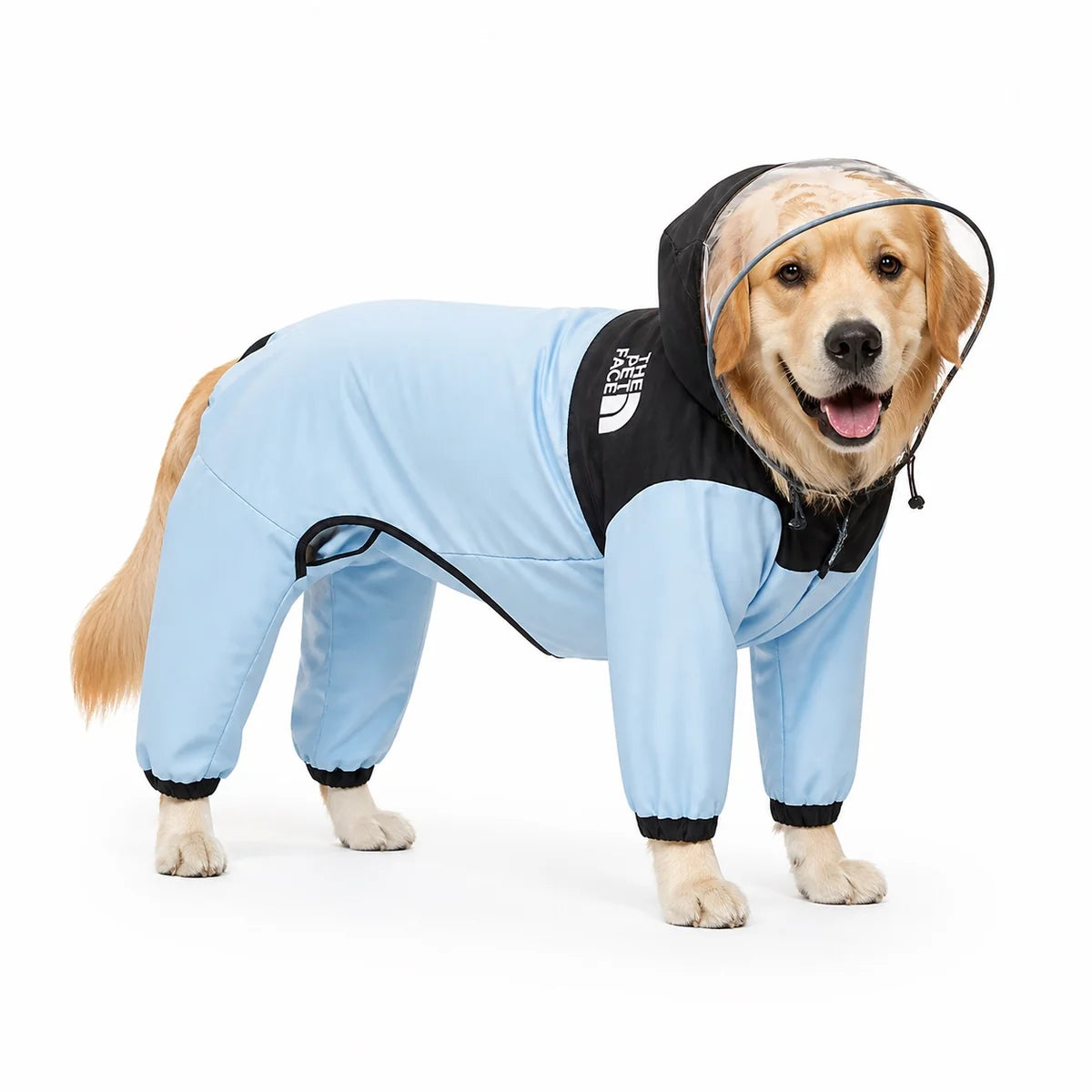 Blue tail-cover dog raincoat worn by a dog on a white background