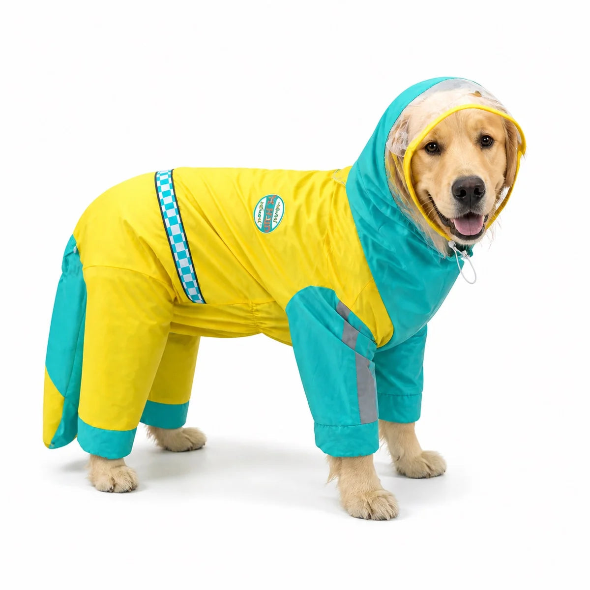 Green and yellow colorblock dog raincoat worn by a dog on a white background