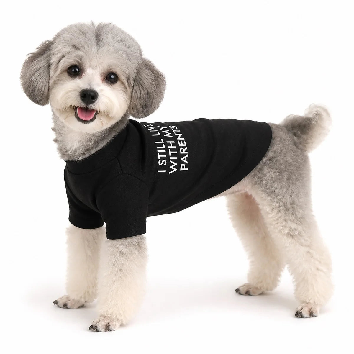 Black colorful small dog t-shirt worn by a pet on a white background, image 4