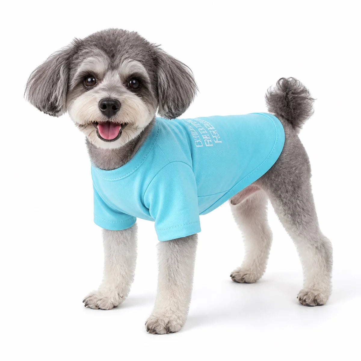 Blue colorful small dog t-shirt worn by a pet on a white background, image 1