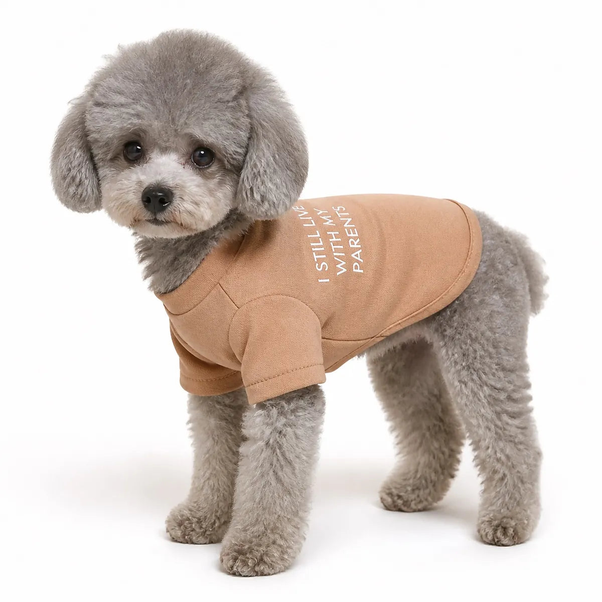Brown colorful small dog t-shirt worn by a pet on a white background, image 5