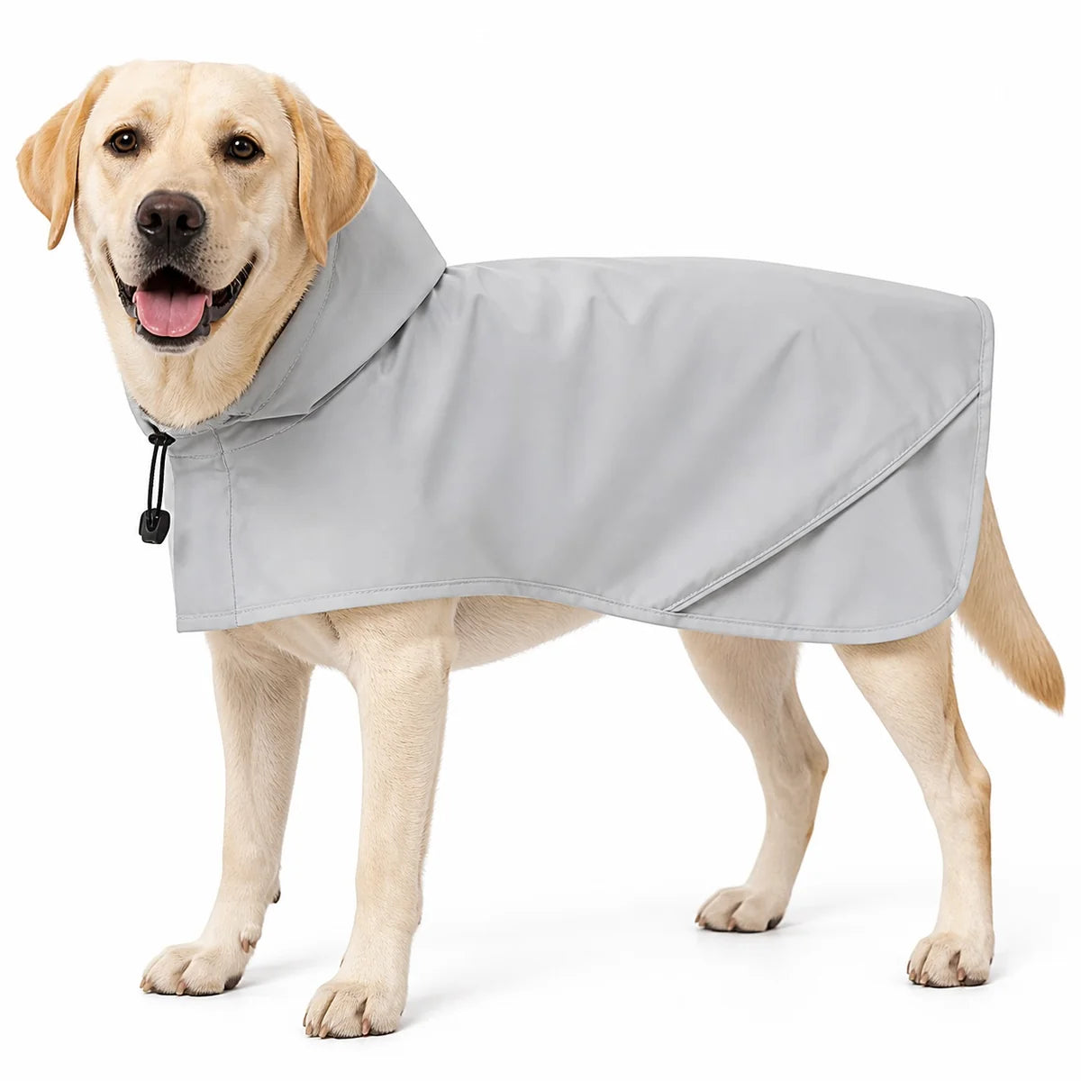 Gray rain poncho dog rainwear and boot set worn by a pet on a white background, image 1