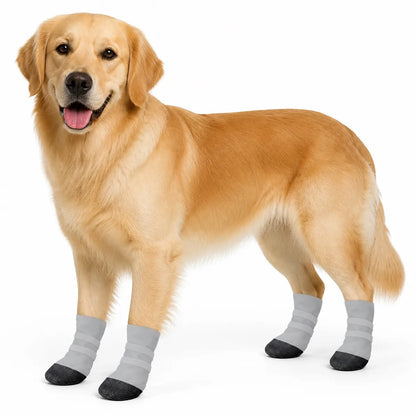 Gray boot set dog rainwear and boot set worn by a pet on a white background, image 6