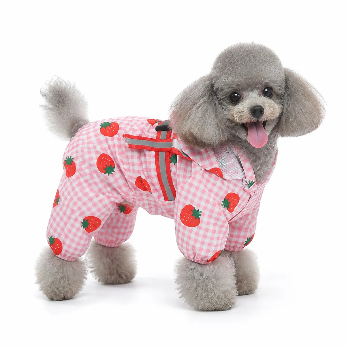 Pink strawberry print dog raincoat worn by a dog on a white background