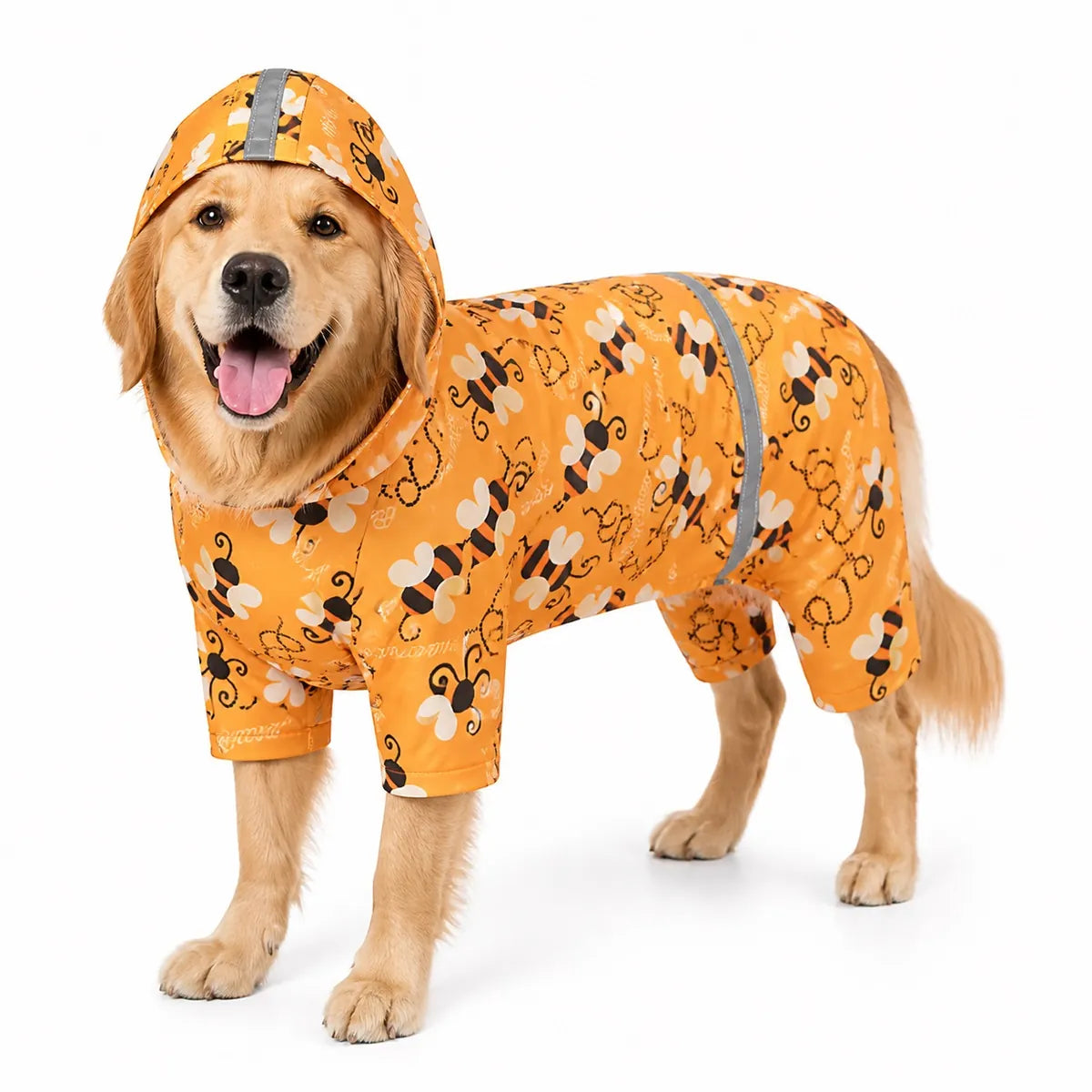 Orange bumblebee dog raincoat worn by a dog on a white background