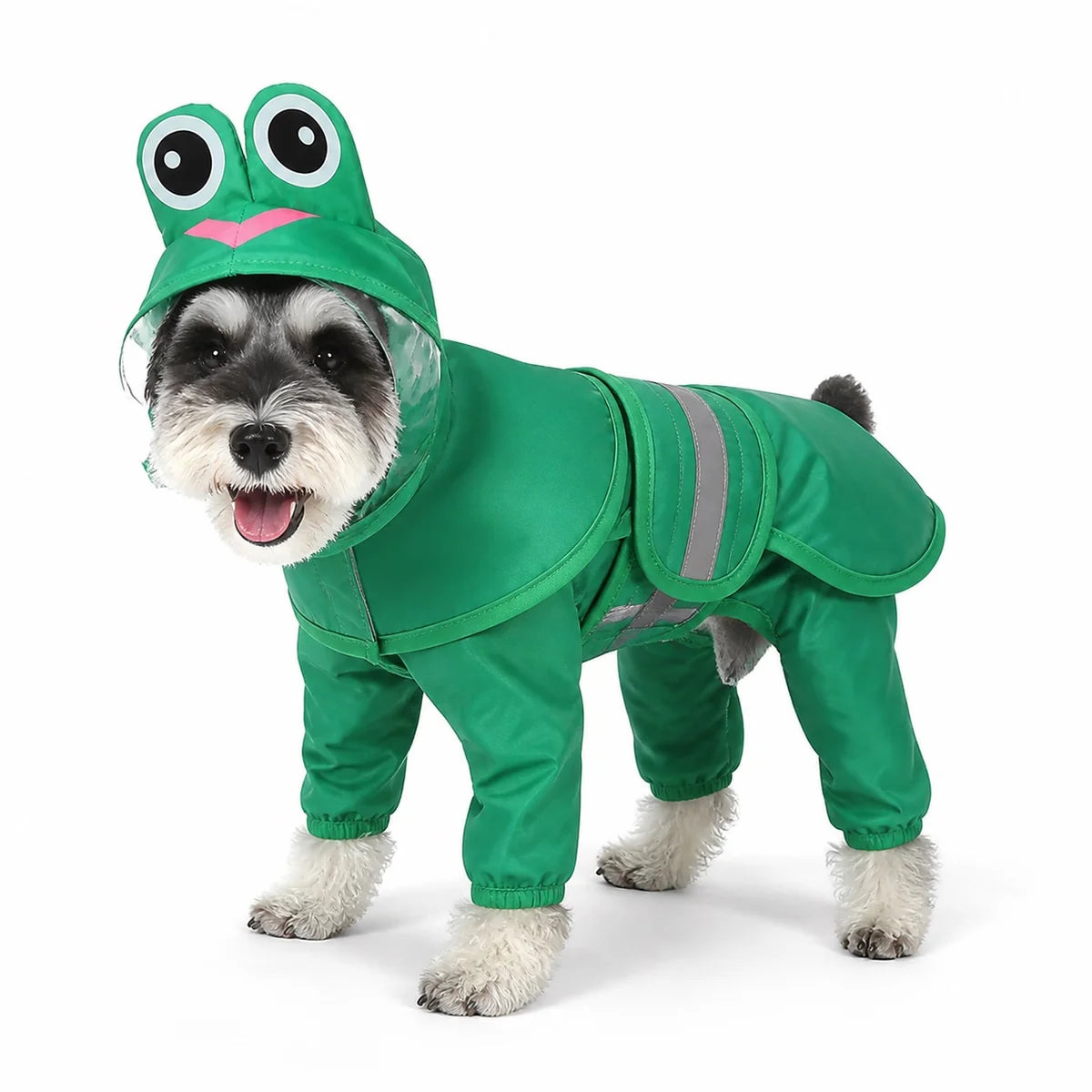 Green hooded frog dog raincoat worn by a dog on a white background