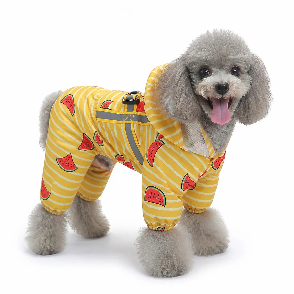 Yellow watermelon print dog raincoat worn by a dog on a white background