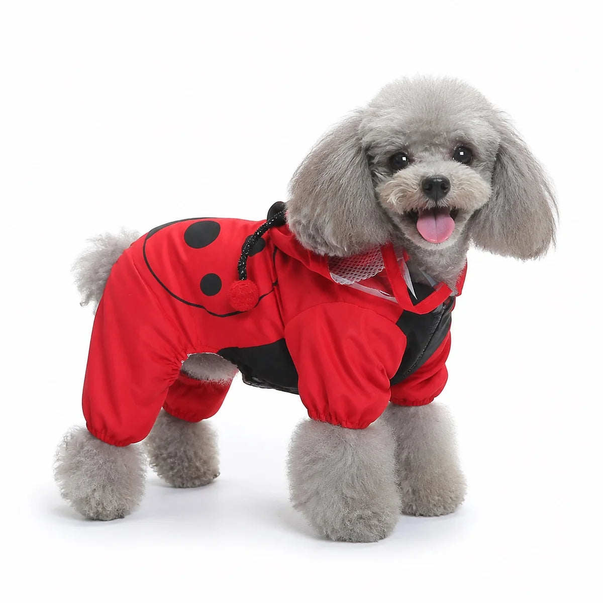 Red ladybug dog raincoat worn by a dog on a white background