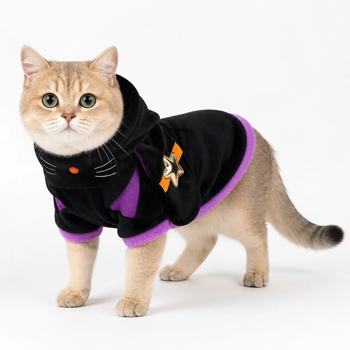 Black magic cat flannel pet costume collection worn by a pet on a white background, image 33