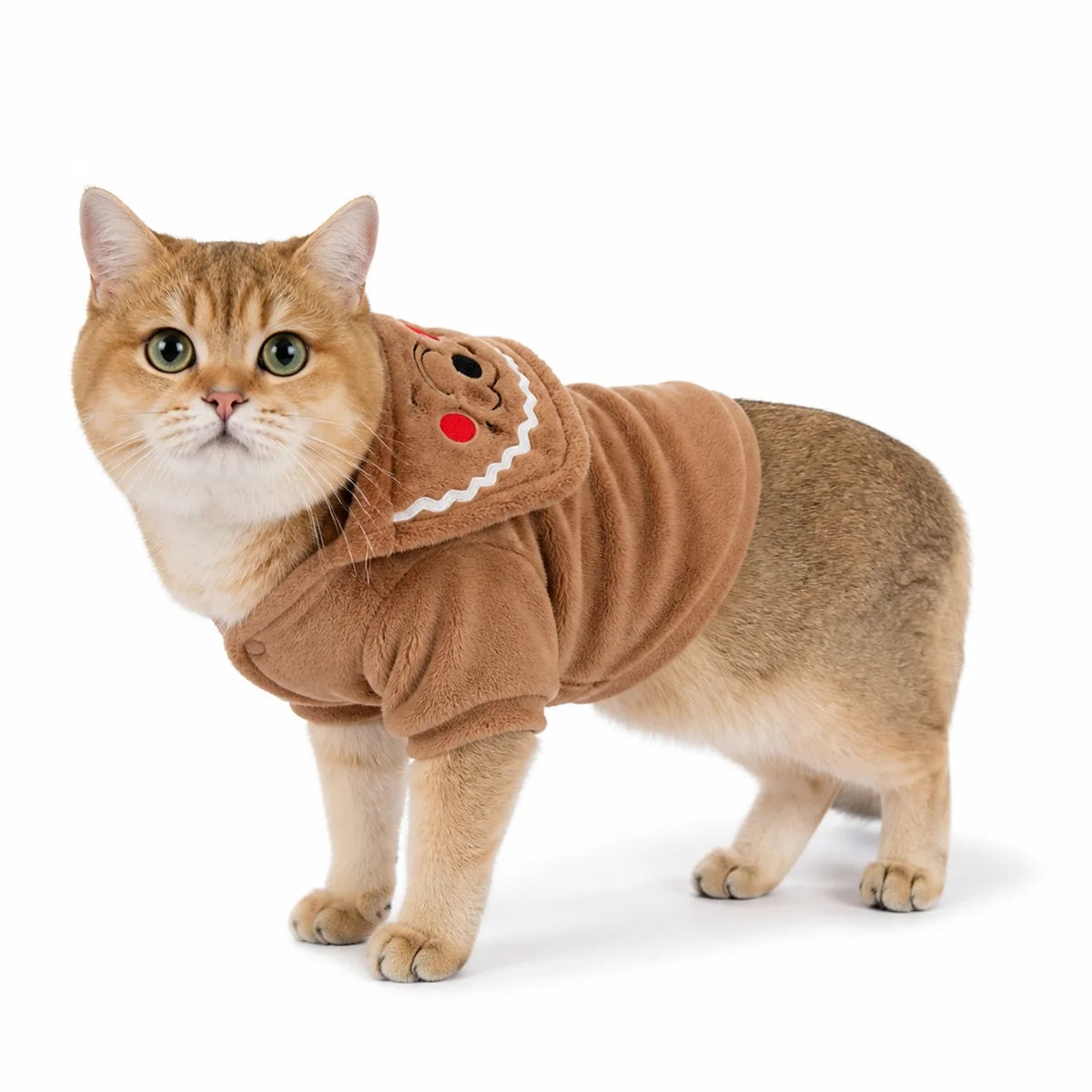 Brown gingerbread flannel pet costume collection worn by a pet on a white background, image 35
