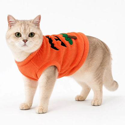 Orange halloween pumpkin flannel pet costume collection worn by a pet on a white background, image 31