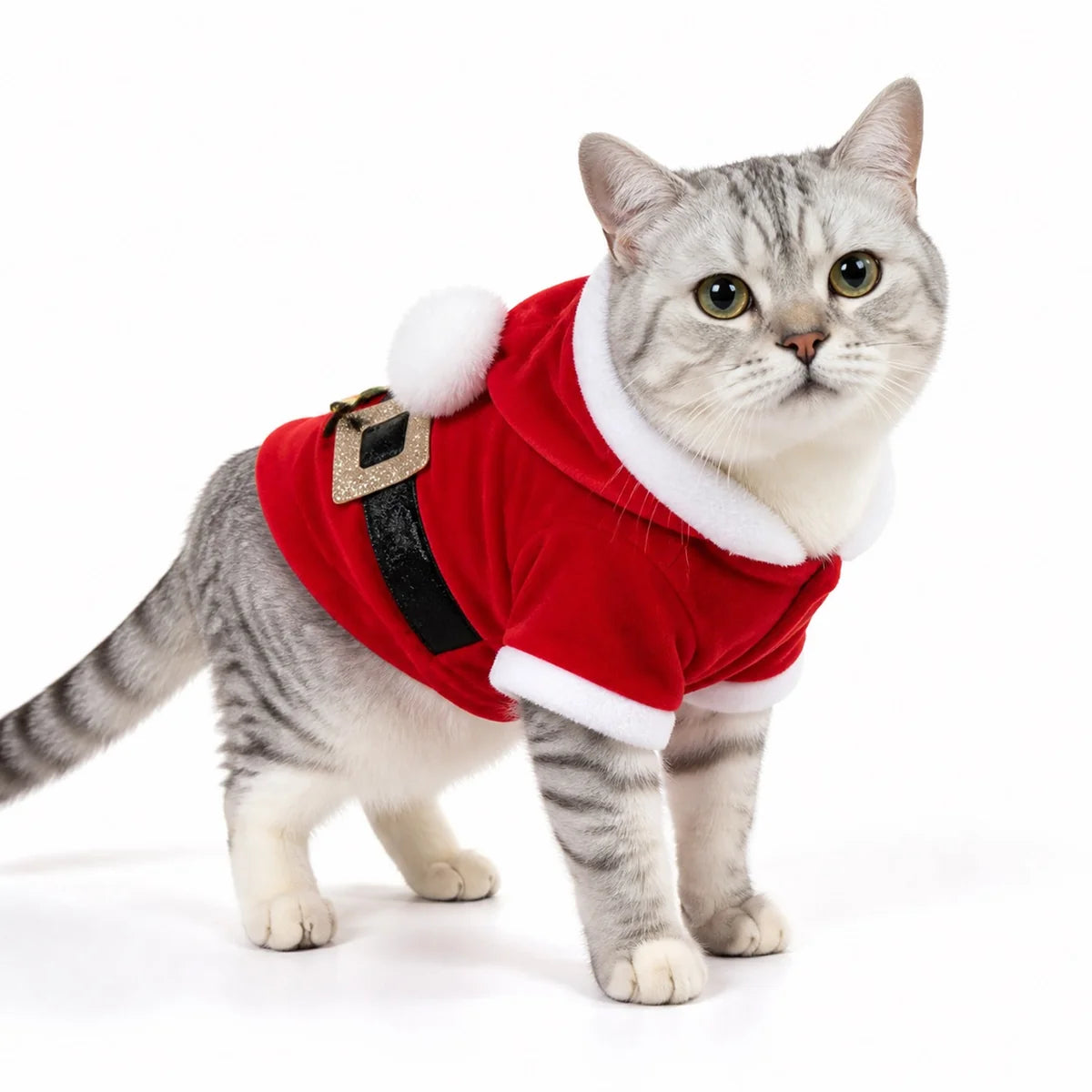 Red santa claus flannel pet costume collection worn by a pet on a white background, image 34