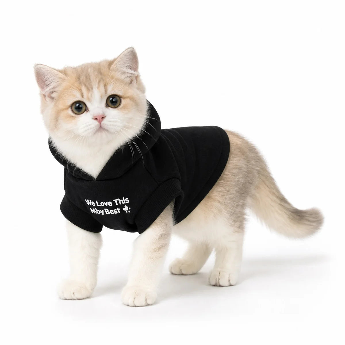 Black lightweight fleece-lined cat hoodie worn by a pet on a white background