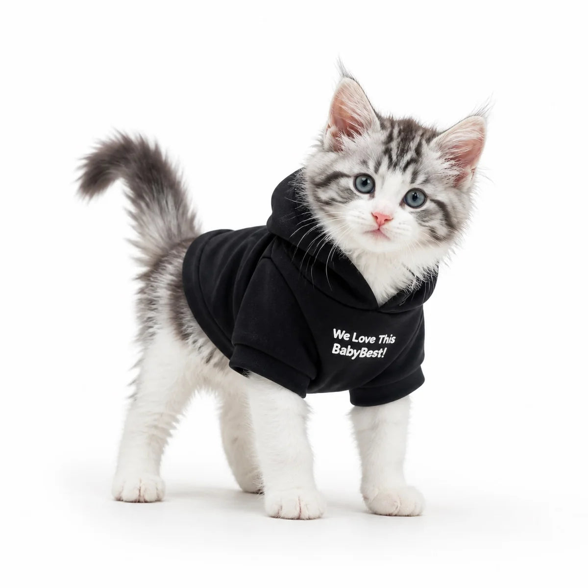 Black fleece lined fleece-lined cat hoodie worn by a pet on a white background