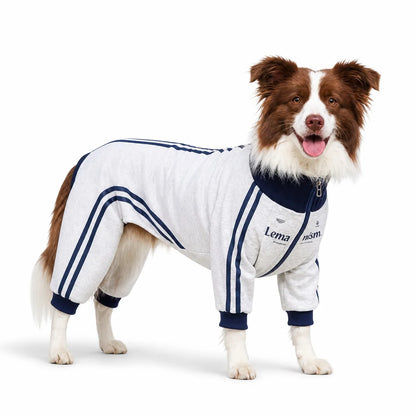 White four-leg dog coat with navy trim worn by a dog on a white background