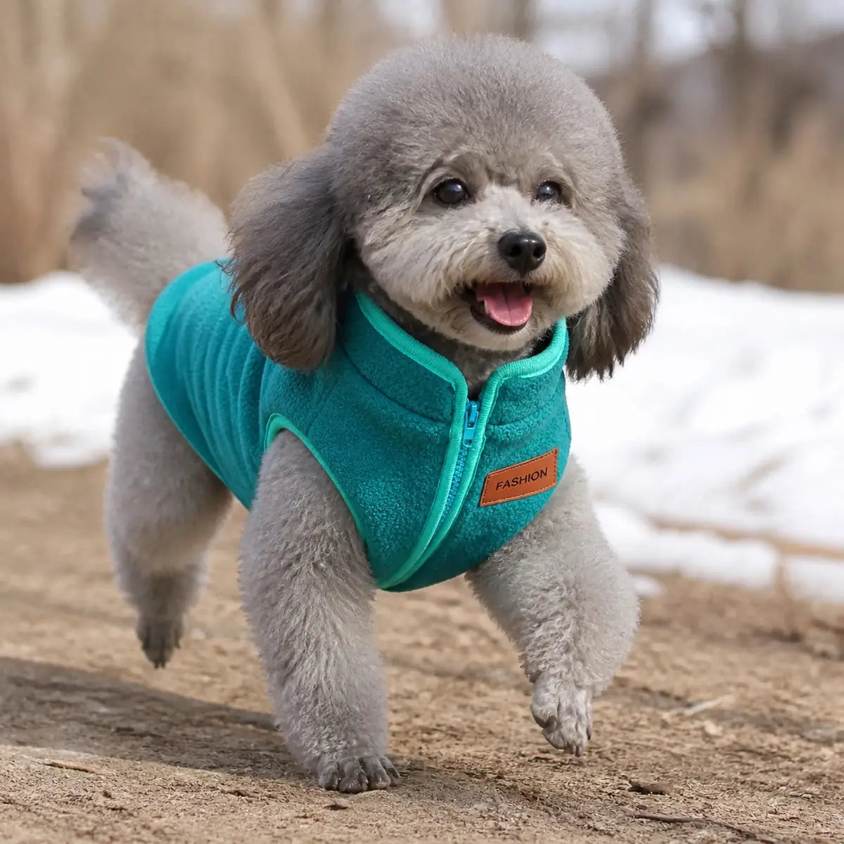 Teal fleece zip-up dog vest lifestyle view