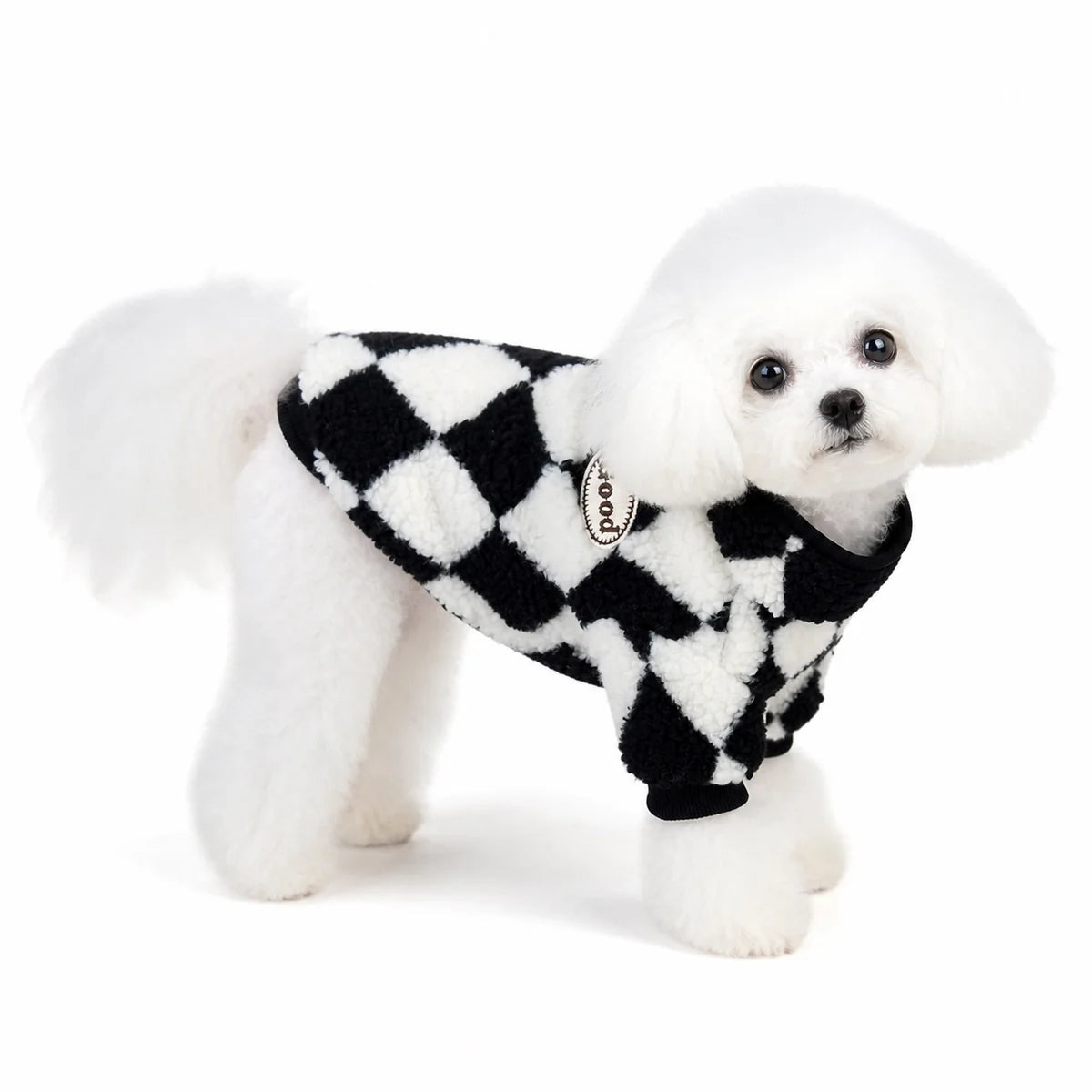dog wearing a WY017 four-leg padded dog coat