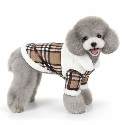 dog wearing a WY048 four-leg padded dog coat