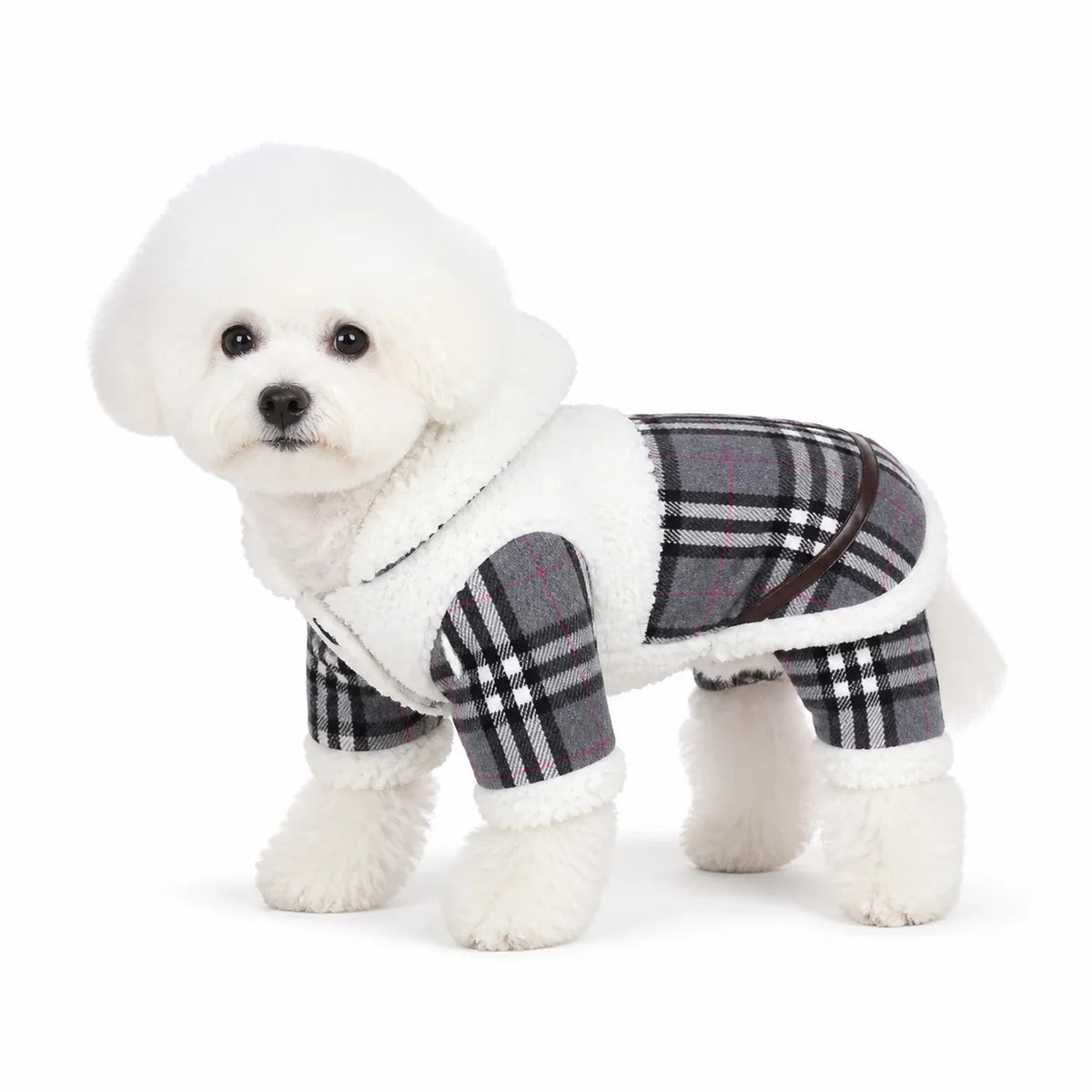 dog wearing a WY049 four-leg padded dog coat