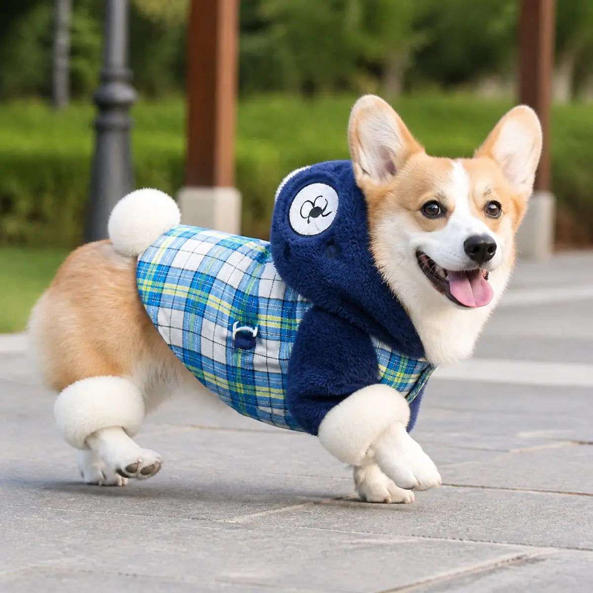 WY059 four-leg padded dog coat lifestyle view