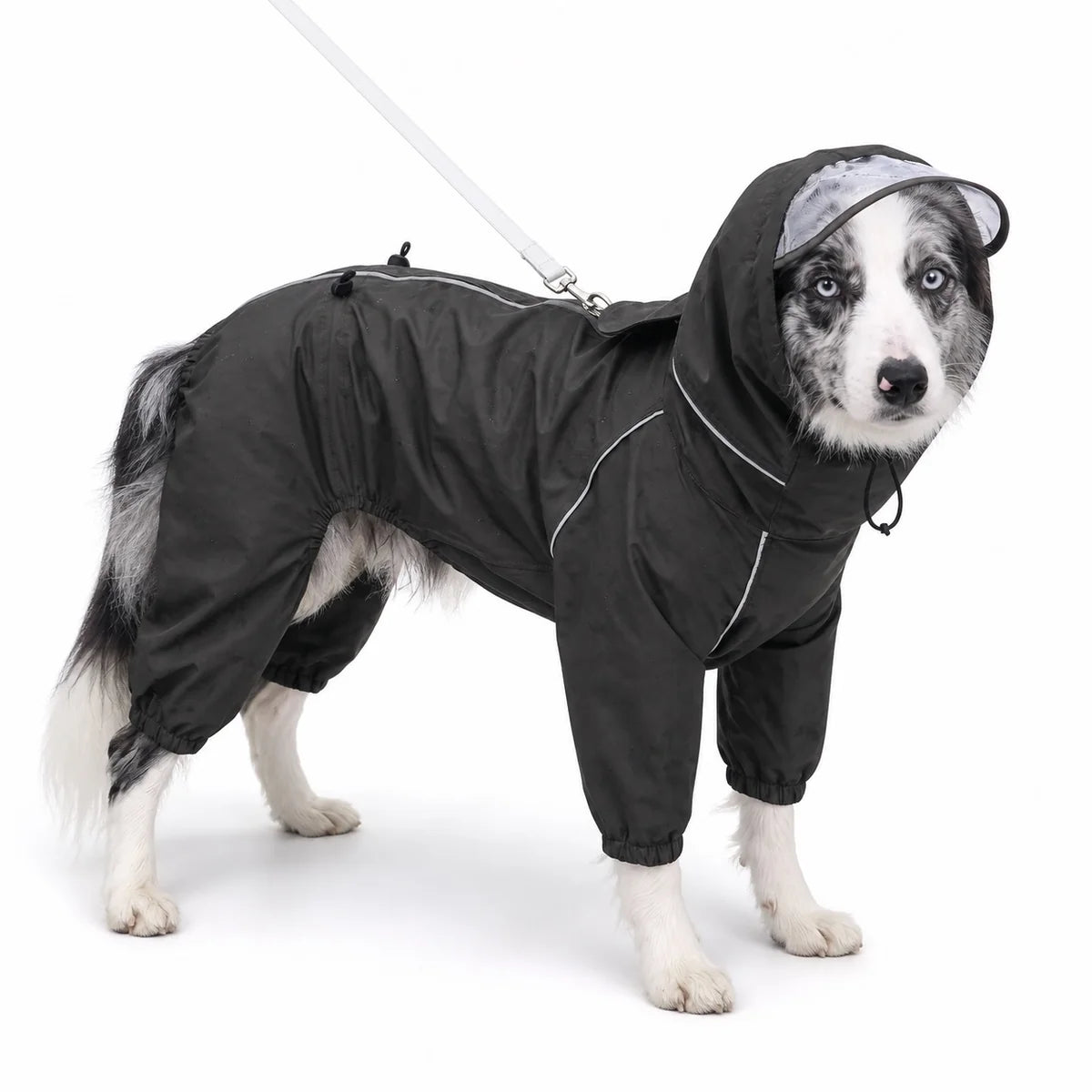 Black female rain suit full-coverage dog rain suit worn by a pet on a white background, image 13