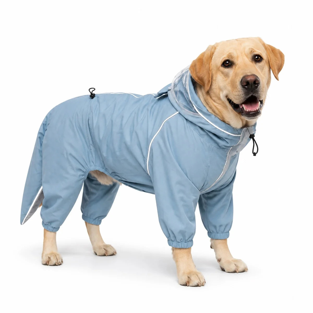 Blue female rain suit full-coverage dog rain suit worn by a pet on a white background, image 10
