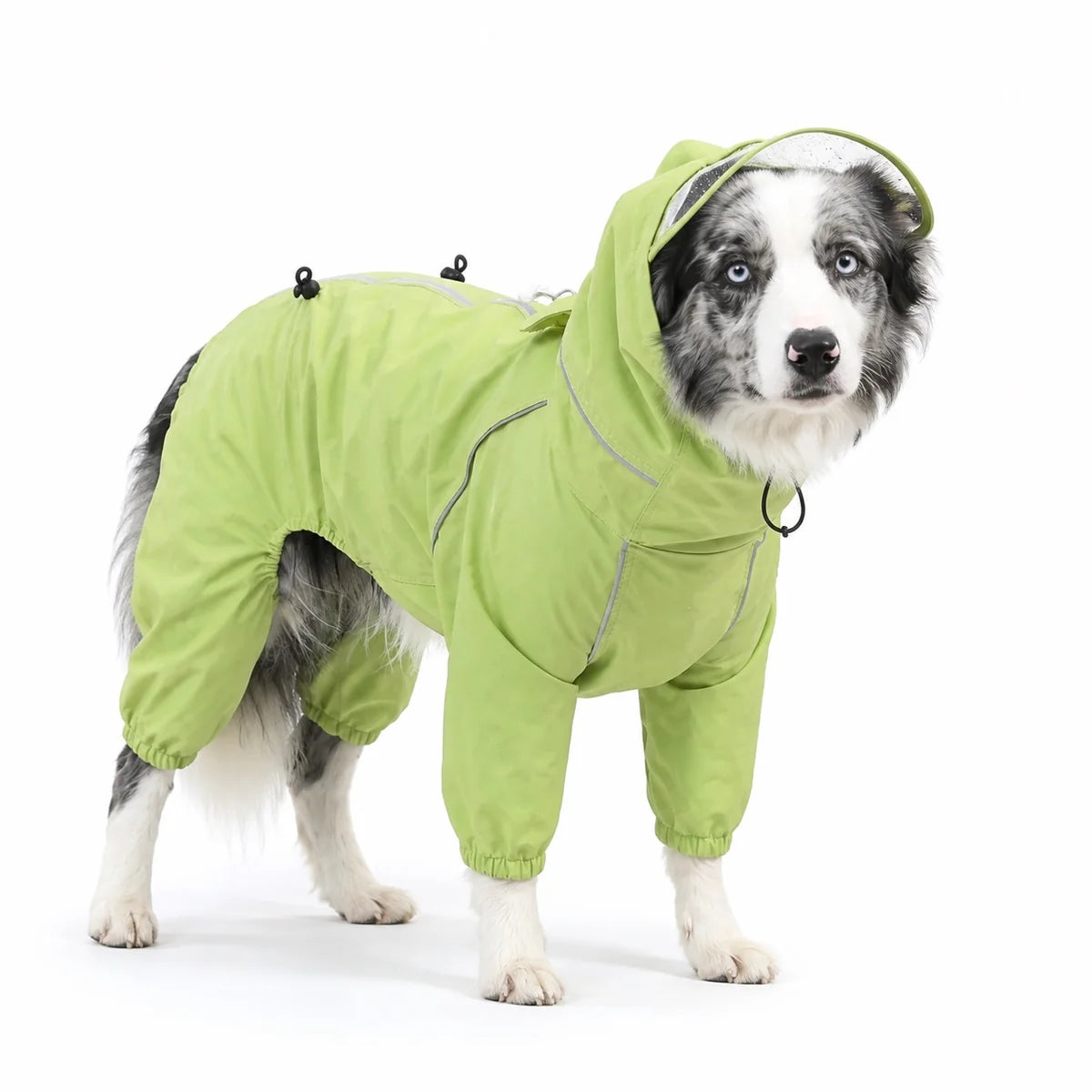 Green male rain suit full-coverage dog rain suit worn by a pet on a white background, image 5