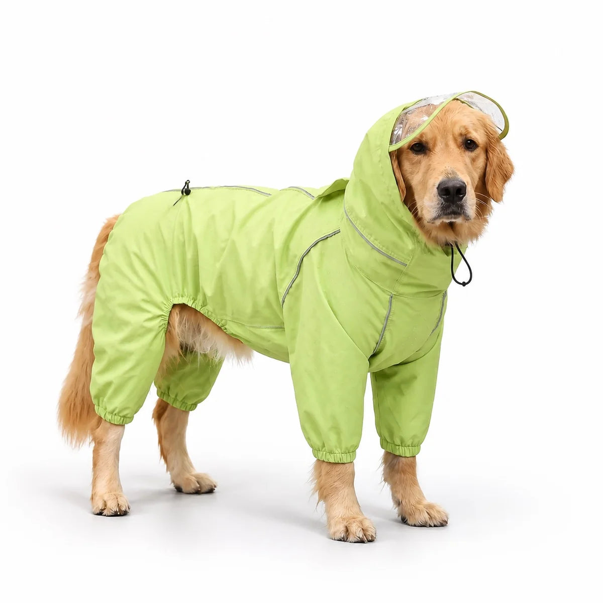 Green female rain suit full-coverage dog rain suit worn by a pet on a white background, image 12