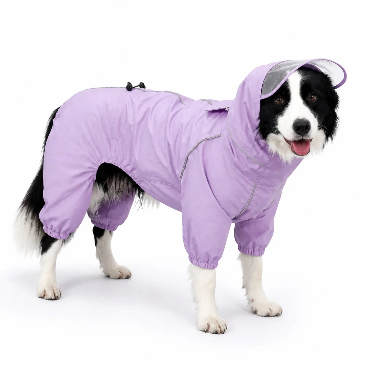Purple female rain suit full-coverage dog rain suit worn by a pet on a white background, image 9
