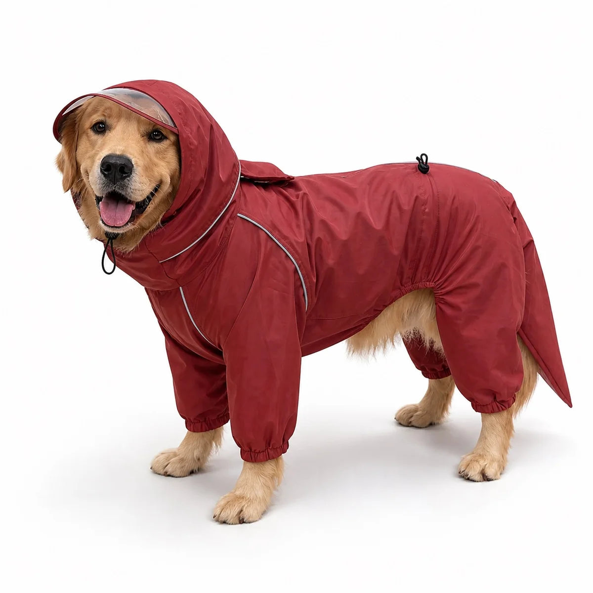 Red male rain suit full-coverage dog rain suit worn by a pet on a white background, image 7
