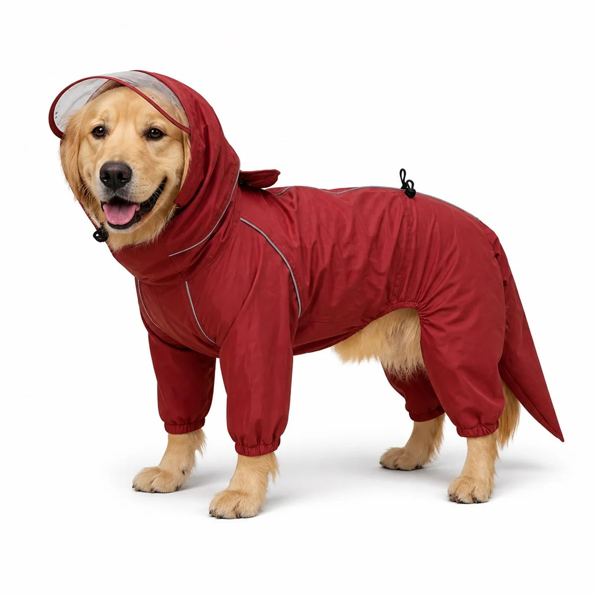 Red female rain suit full-coverage dog rain suit worn by a pet on a white background, image 14