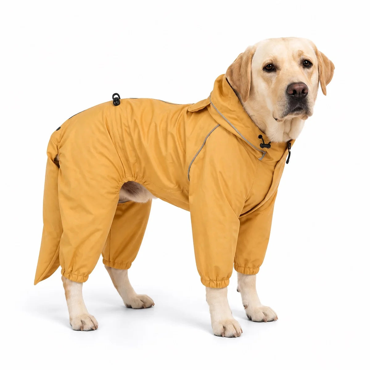 Yellow male rain suit full-coverage dog rain suit worn by a pet on a white background, image 4