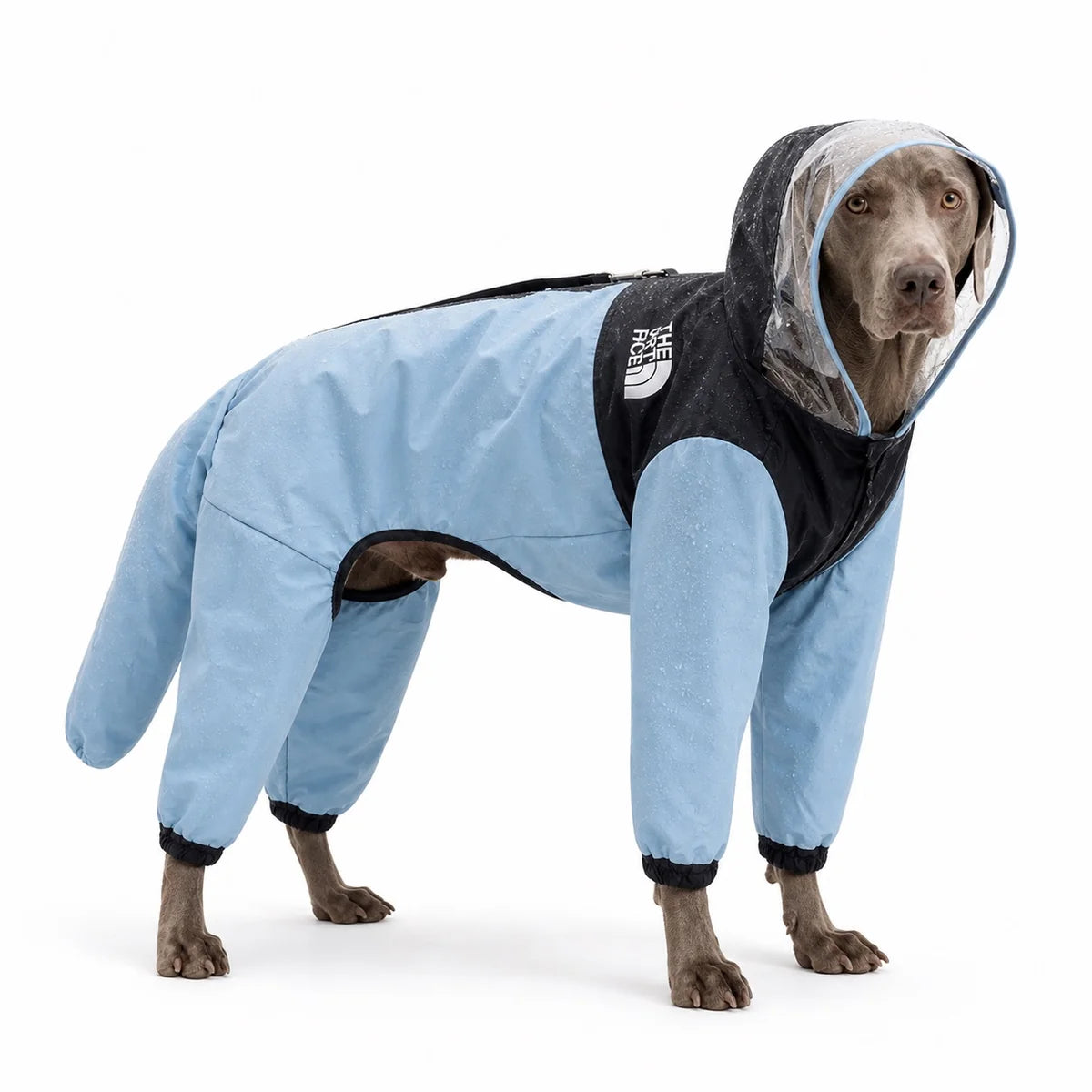 Blue colorway 02 full-coverage large dog raincoat worn by a pet on a white background, image 3