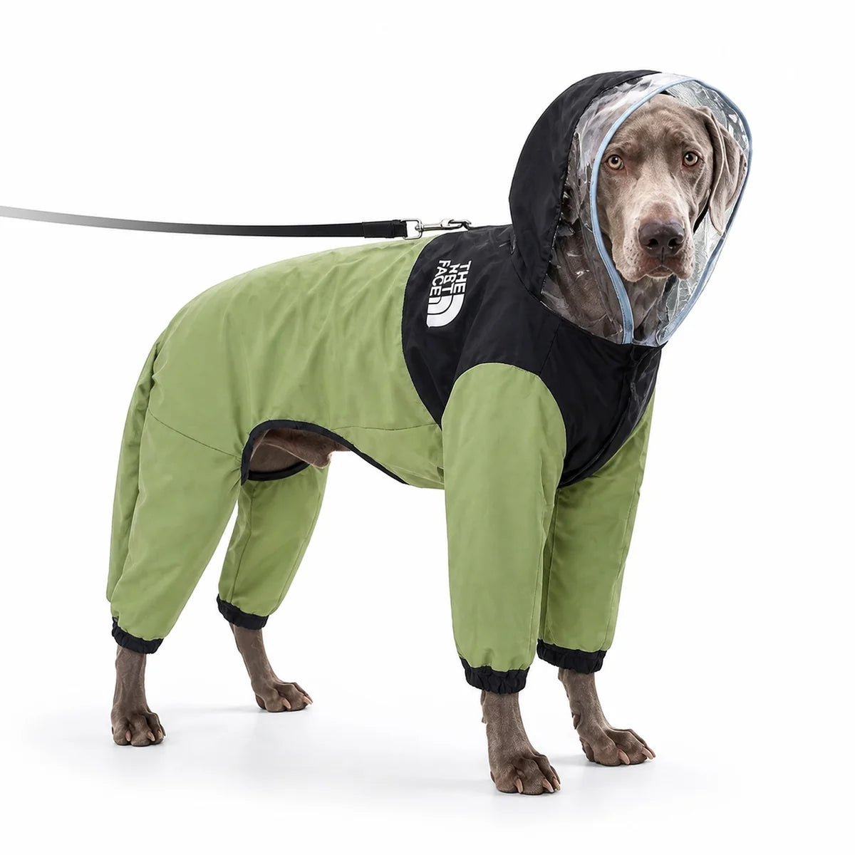 Green colorway 01 full-coverage large dog raincoat worn by a pet on a white background, image 1