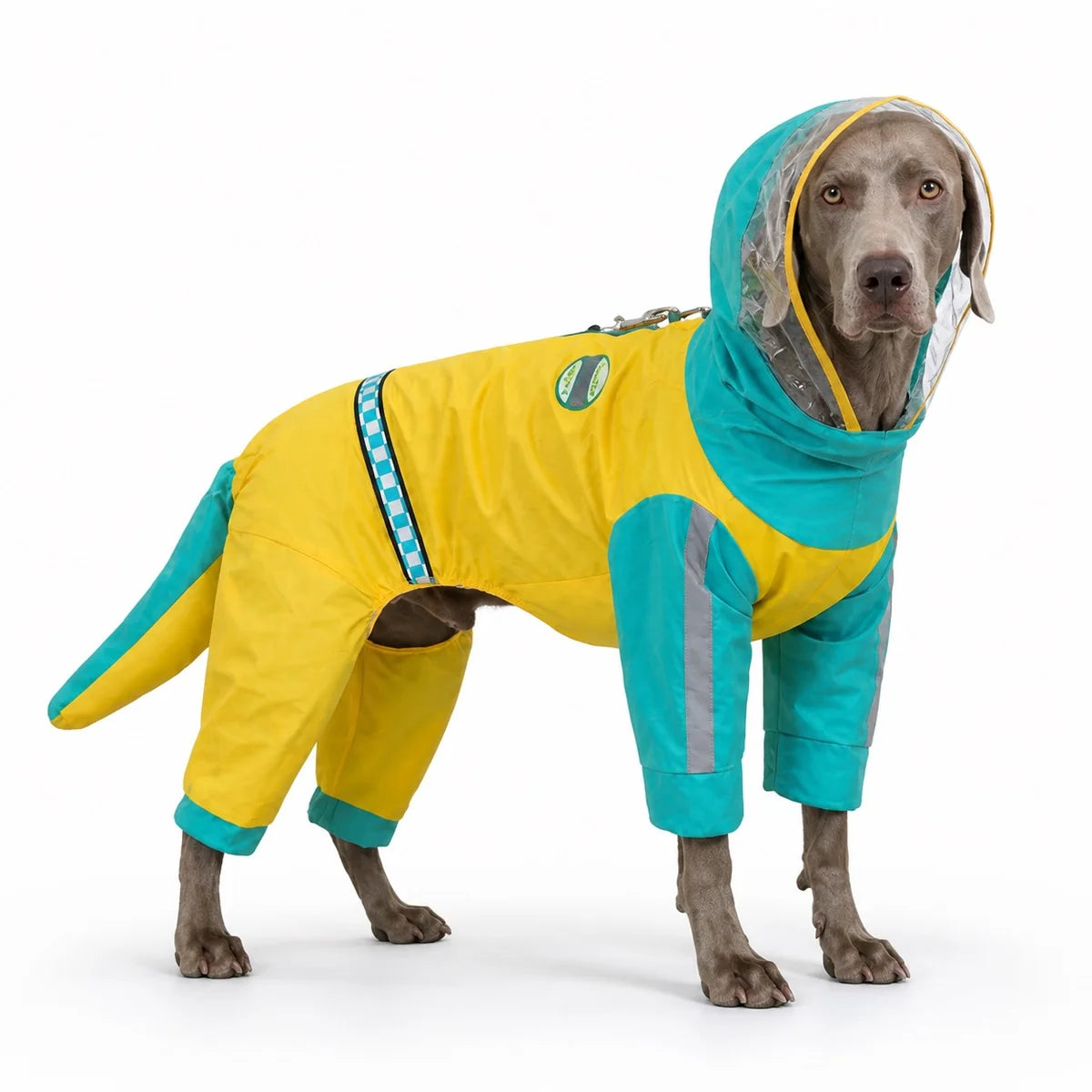 Green colorway 07 full-coverage large dog raincoat worn by a pet on a white background, image 8