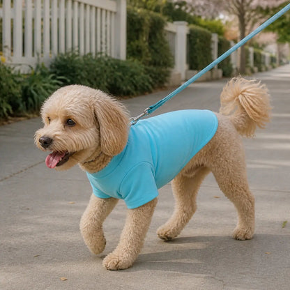 Cyan Graphic T-Shirt for dogs, product detail