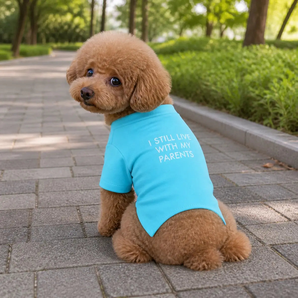 Cyan Graphic T-Shirt for dogs, product detail