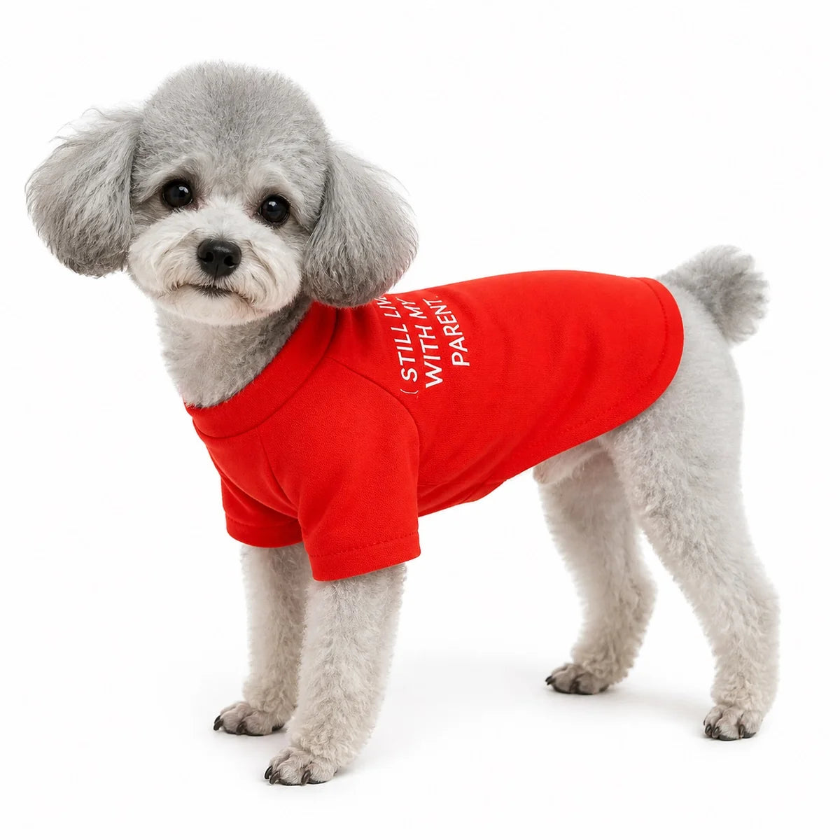 Red Graphic T-Shirt for dogs, pet wearing
