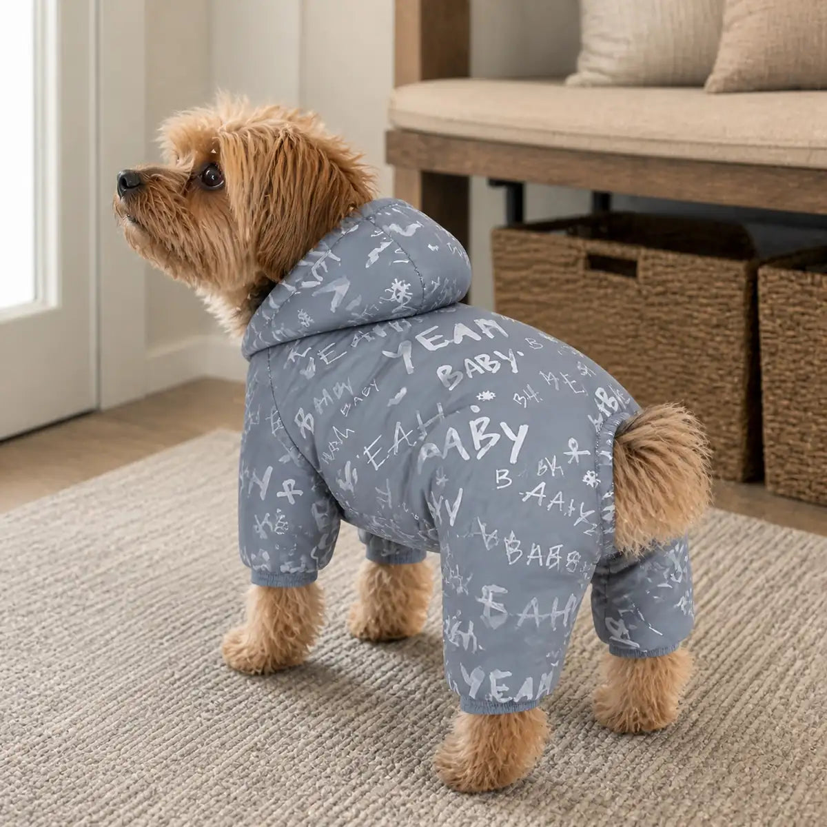Gray Graphic Print gray graphic print four-leg dog coat feature view