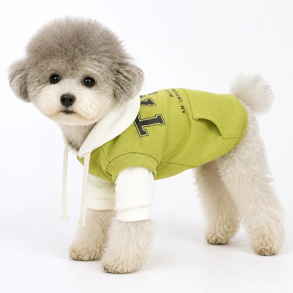 Green standard green color-block dog hoodie worn by a pet on a white background